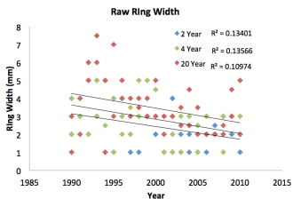 Figure 1: raw ring width by year for trees at 2-year, 4-year and 20-year burn regimes.